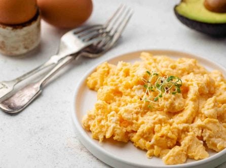 fresh,cooked,scrambled,eggs,in,a,plate,on,white,background.
